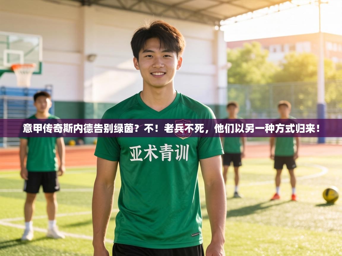 意甲传奇斯内德告别绿茵？不！老兵不死，他们以另一种方式归来！  第2张