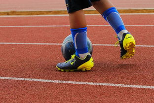 爱游戏官网app-2021赛季亚冠联赛将于本周展开角逐，中超球队全员备战期待出彩，2021亚冠中超参赛队