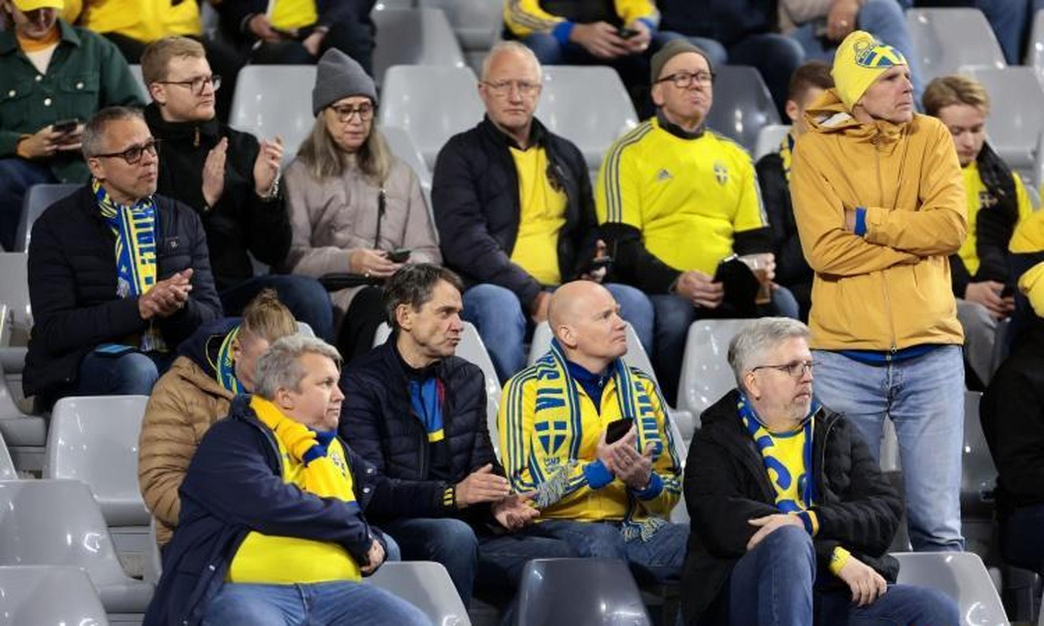 爱游戏教练-法国对阵瑞典，一场关键之战引发球迷期待的简单介绍