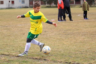 爱游戏课程-马德里竞技队获得西甲联赛冠军